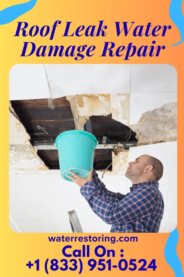 Roof Leak Water Damage Repair in Layton, UT